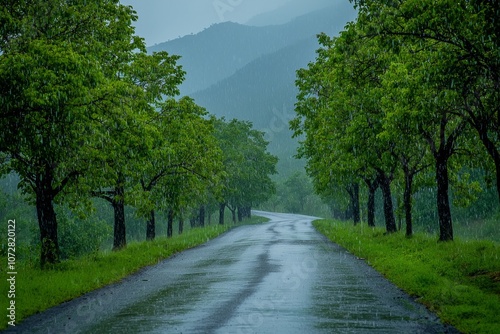 A rainy countryside road lined with trees, wet road, as distant mountains fade into the mist. 