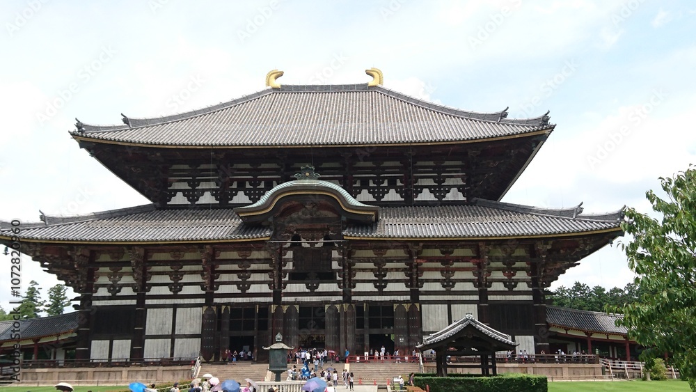 Fototapeta premium 奈良