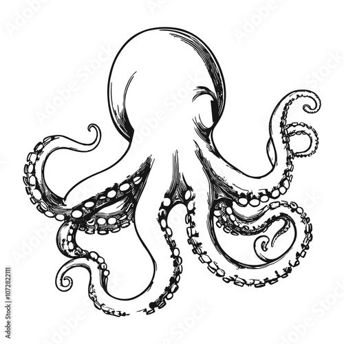 Detailed Octopus with Tentacles Spread Illustration