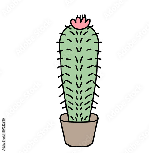 cactus in a pot