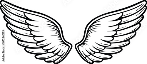 wing silhouette, bird wings , wing vector for logo design, tattoos