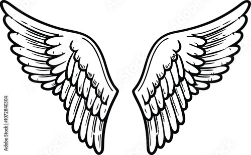 wing silhouette, bird wings , wing vector for logo design, tattoos