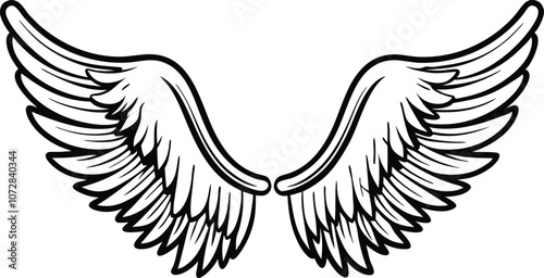 wing silhouette, bird wings , wing vector for logo design, tattoos