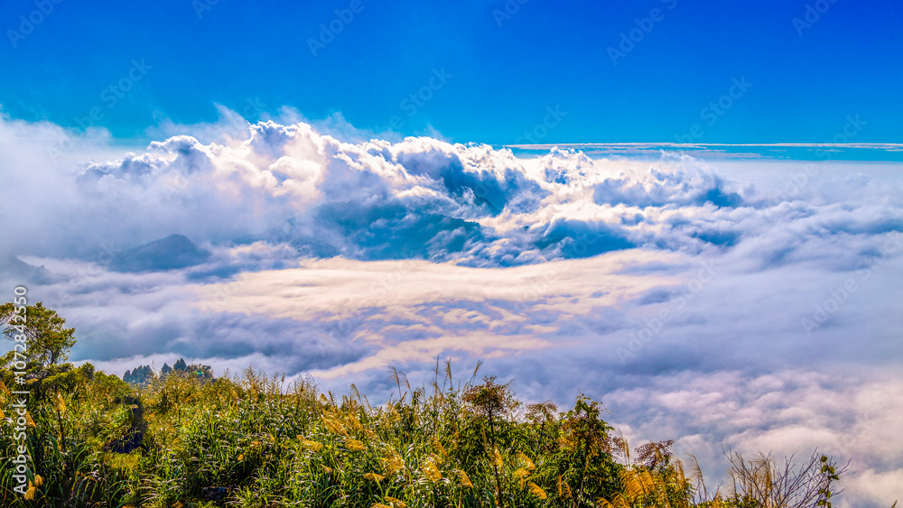 Fascinating sea of clouds and mountain scenery at sunset .scenic dreamy cloudscape,snow white cloud. Eryanping Trail,Alishan,Taiwan,for branding,calender,postcard,screensave,wallpaper,poster,banner.