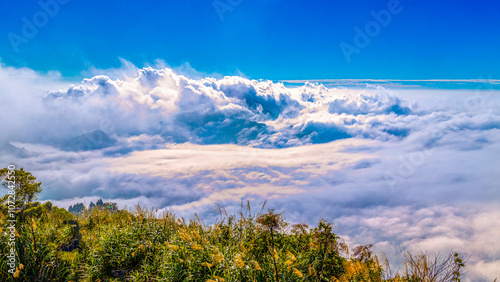 Obraz na płótnie Fascinating sea of clouds and mountain scenery at sunset .scenic dreamy cloudscape,snow white cloud. Eryanping Trail,Alishan,Taiwan,for branding,calender,postcard,screensave,wallpaper,poster,banner. w salonie