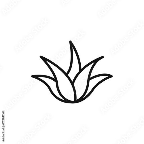 aloe vera icon vector line logo art