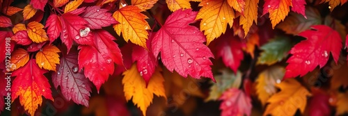 Vibrant autumn leaves adorned with glistening water droplets, creating a stunning natural beauty, texture, natural