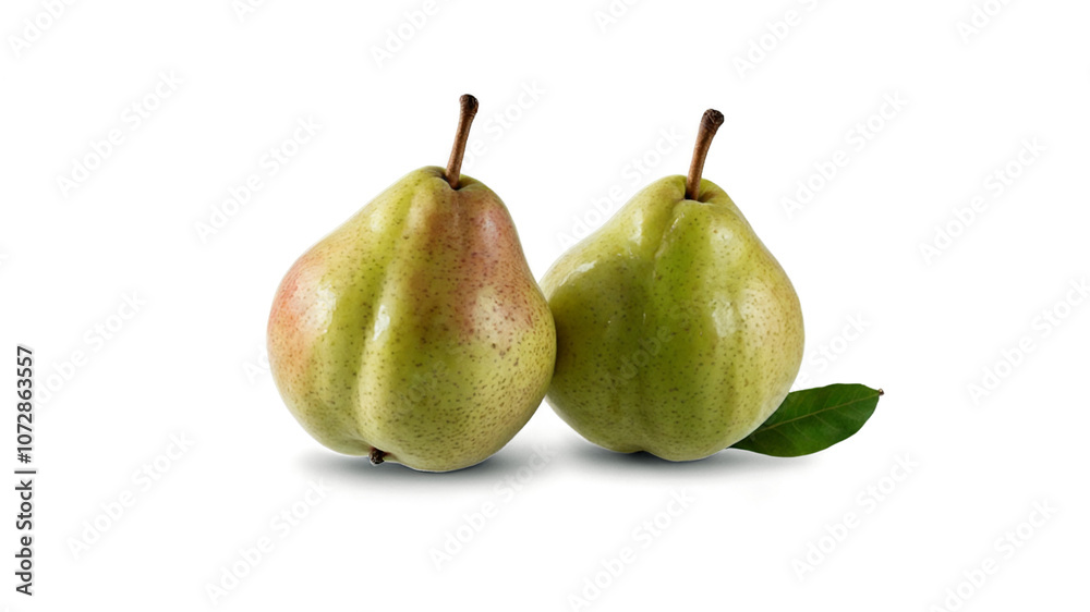 two fresh pears on a white background two fresh pears on a white background