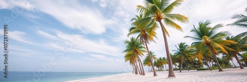 Palm trees swaying gently in the breeze on a pristine white sand beach, beach, tropical, palm trees