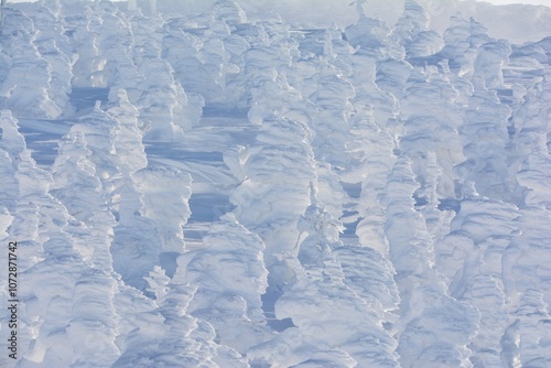 蔵王山の樹氷群