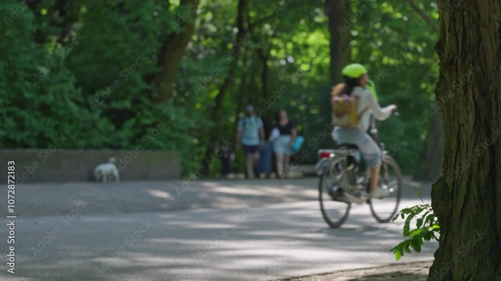 Cyclists enjoying a tranquil ride through a lush park on a sunny day Cyclists enjoying a tranquil ride through a lush park on a sunny day