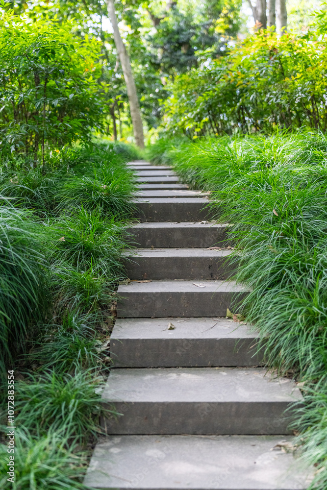 Stone steps among green trees in the park Stone steps among green trees in the park