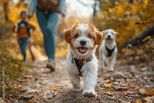 Obraz na płótnie A joyful family taking their new puppy for a walk in the park, sharing quality time and enjoying outdoor adventures together in a natural setting... w salonie