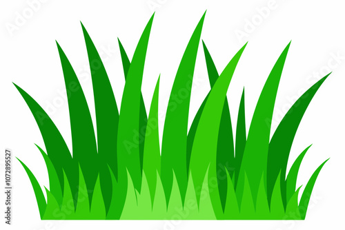 Green grass isolated on white background 