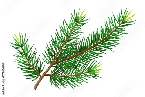 Branch of a pine tree vector illustration 