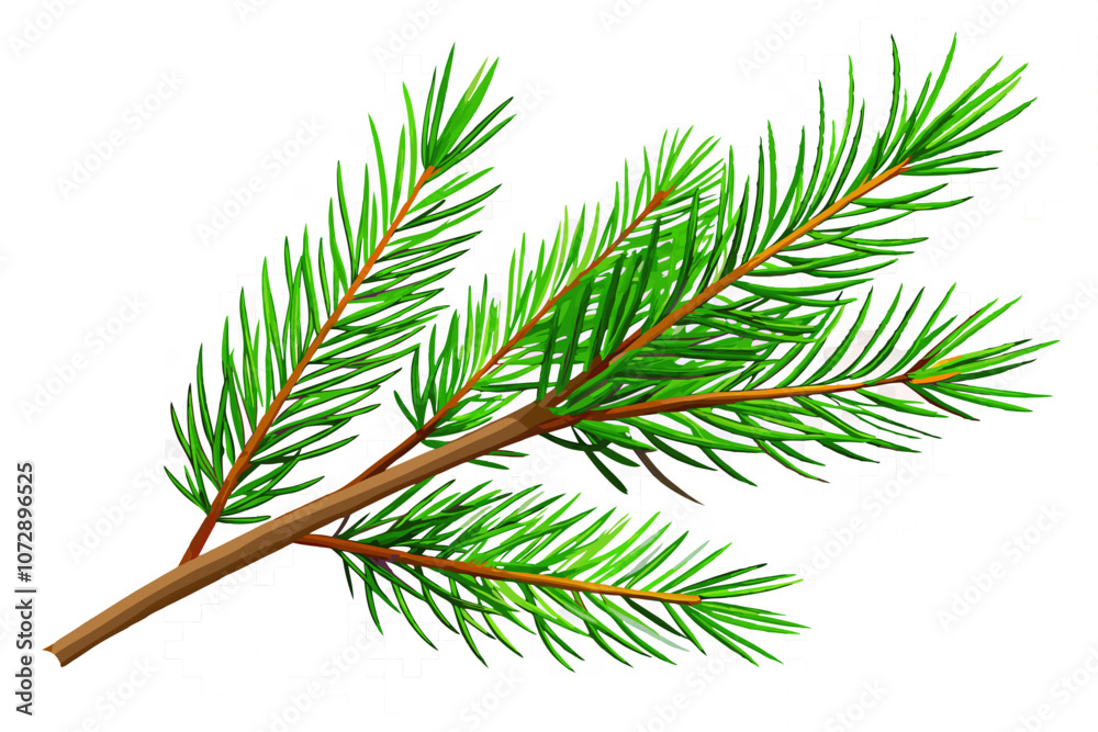 Fototapeta premium Branch of a pine tree vector illustration 