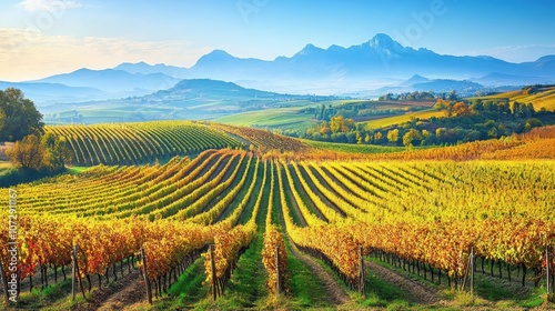 Breathtaking panoramic view of vineyards in La Rioja during harvest season with Sierra de Cantabria mountains in clear blue sky