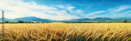 Golden wheat fields in Tierra de Campos under a clear blue sky with distant mountains providing a serene rural landscape