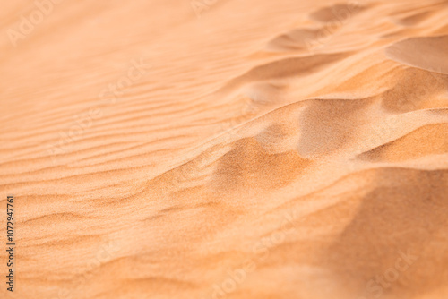 Obraz na płótnie Sand dunes in the desert at sunset. Abstract natural yellow sand background. w salonie