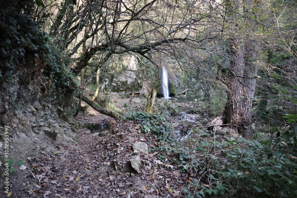 Carpinone - Scorcio della Cascata Schioppo dal sentiero di accesso