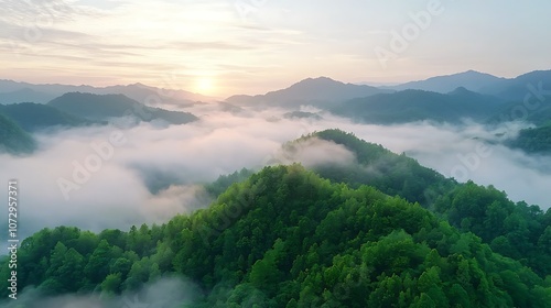 Discover the majestic beauty of misty mountains at sunrise in serene natural landscapes