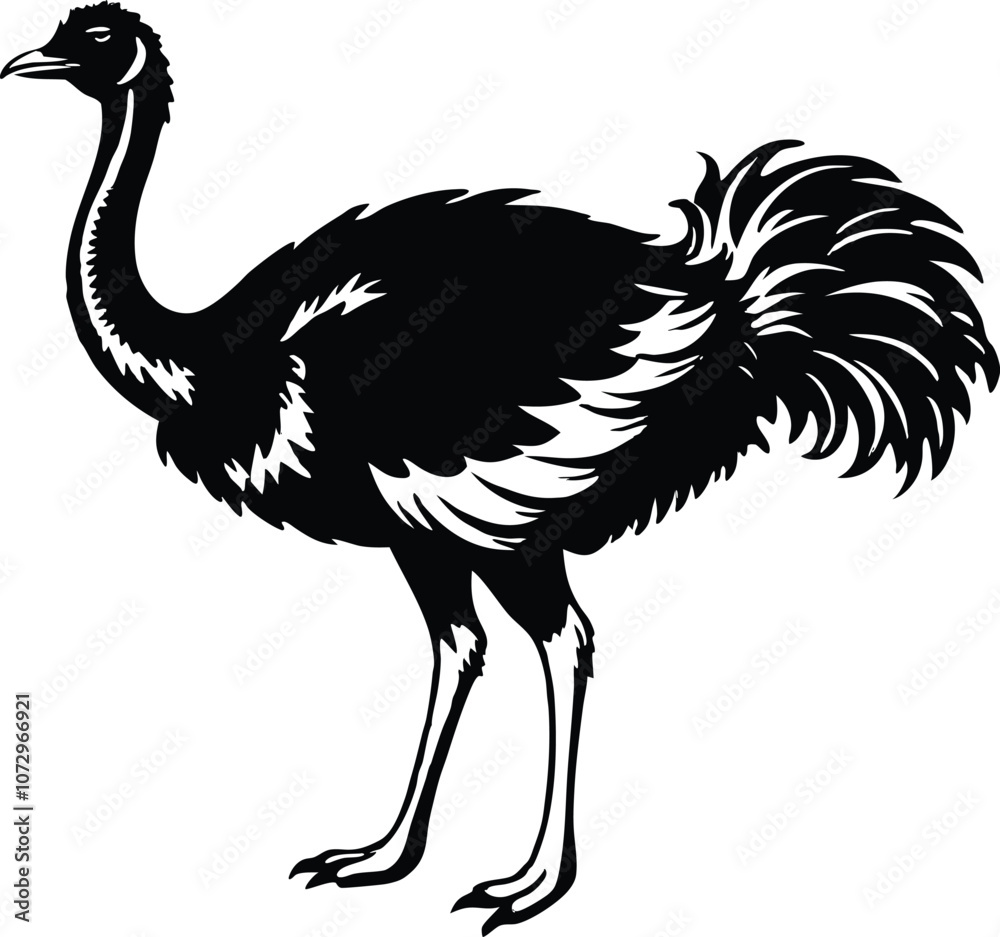 Obraz premium Ostriche bird Silhouette, Emu silhouette vector illustration