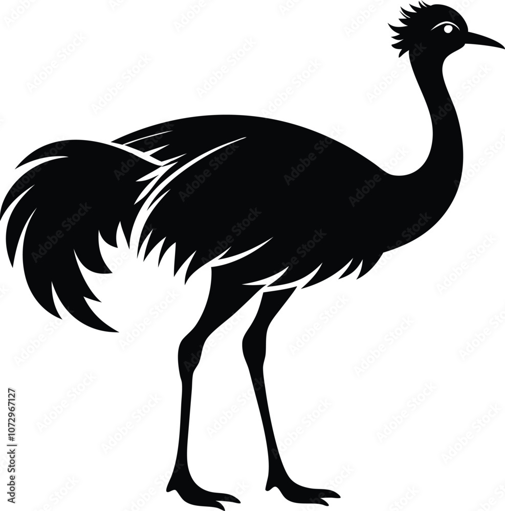 Obraz premium Ostriche bird Silhouette, Emu silhouette vector illustration