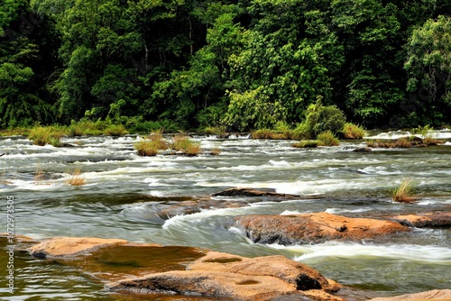 Chalakudy River, Vazhachal Forest, Thrissur, Kerala, India, Asia photo