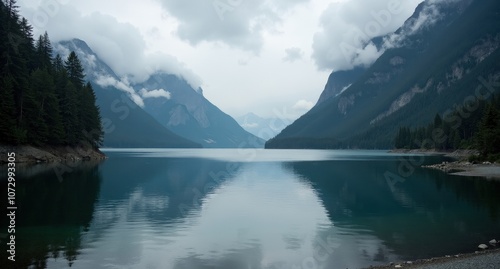 Serene water and dense forest surrounding Clayoquot Sound, British Columbia, Canada, under soft natural light, showcasing pristine wilderness and tranquil coastal scenery.