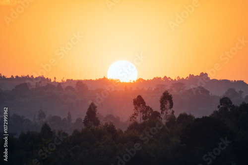 The beautiful sun is setting elegantly behind a silhouette of trees, Burundi