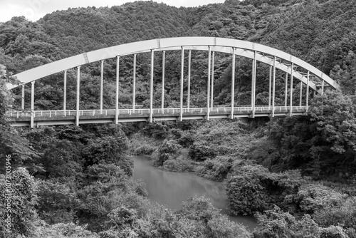 ダム湖に掛かる橋（白黒画像）