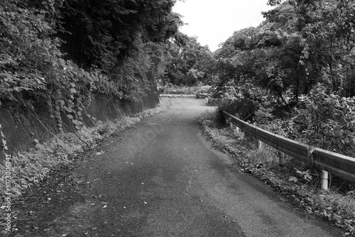 山道の写真（白黒画像）