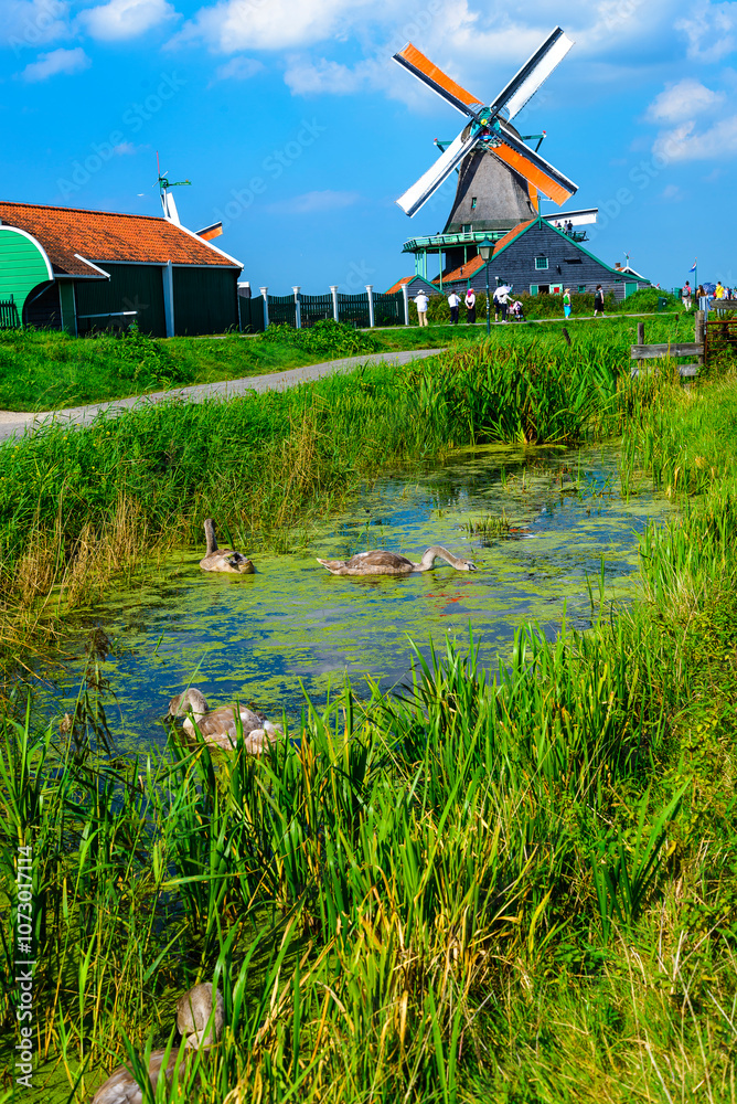 Fototapeta premium Iconic Windmills of Holland 