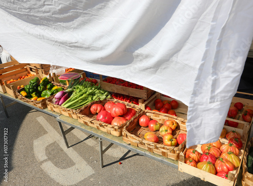 boxes of fresh vegetables with ripe red tomatoes just picked for sale at the market photo