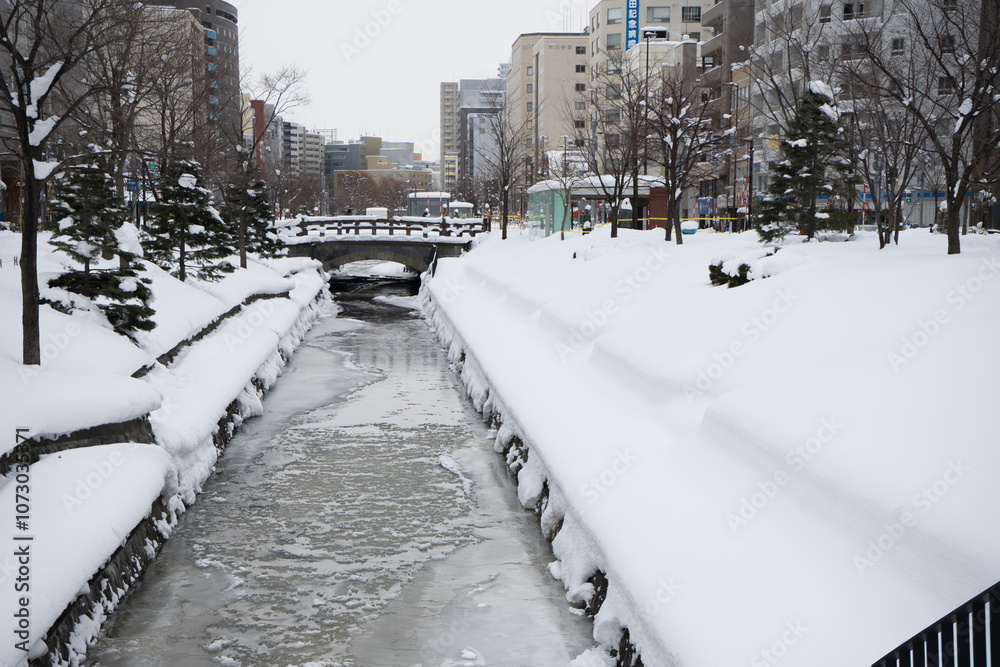 Obraz premium 冬の創成川