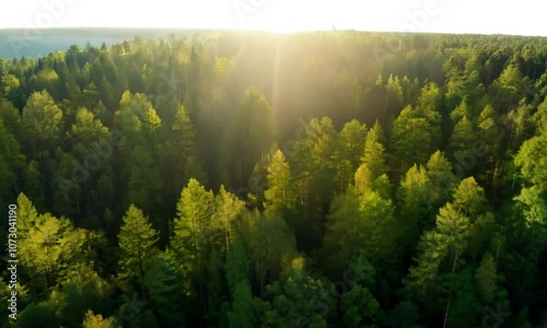 Aerial drone footage over a dense, lush green forest