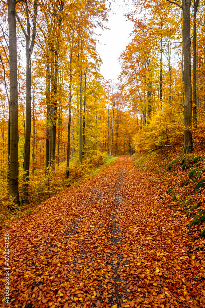 Eine herbstliche Fahrradtour durch den Thüringer Wald auf dem Mommelstein Radweg zwischen Schmalkalden und Brotterode - Thüringen - Deutschland