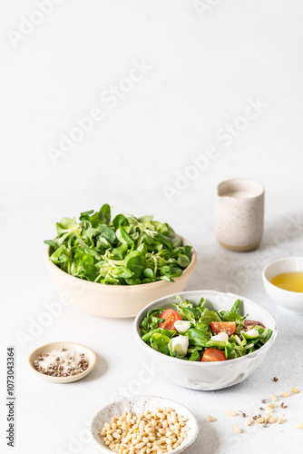 Fresh vegetable salad with olive oil