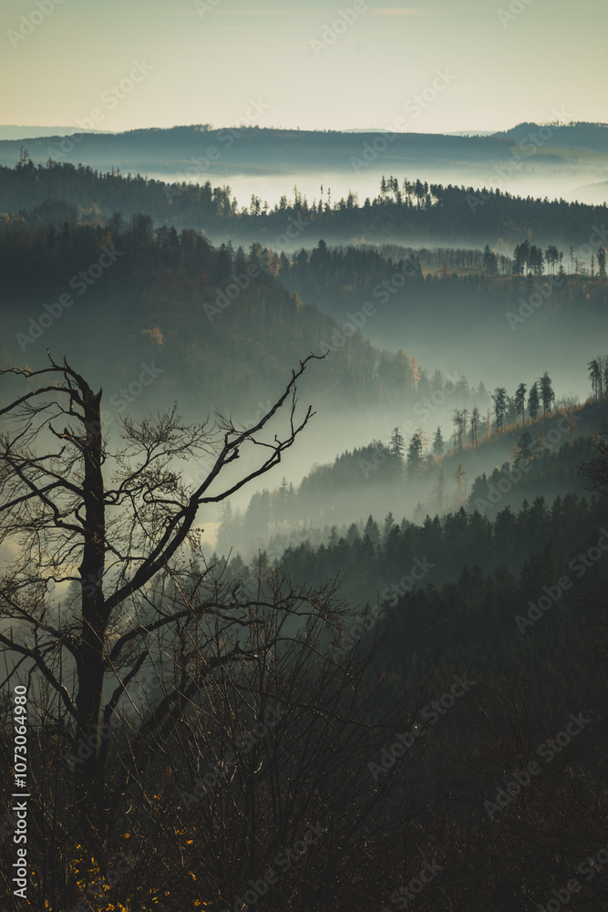 Fototapeta premium Mgły w dolinie