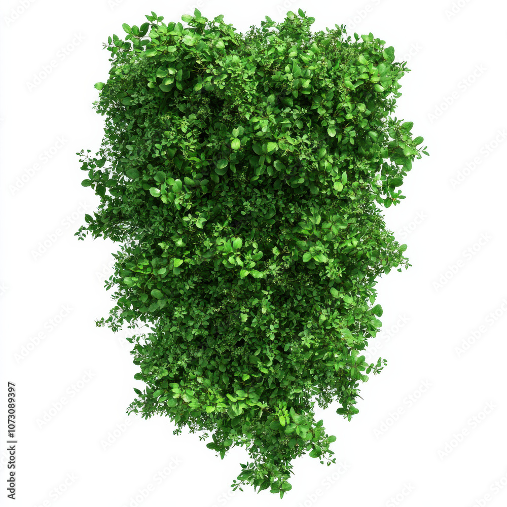 Obraz premium Lush Green Shrub Bush