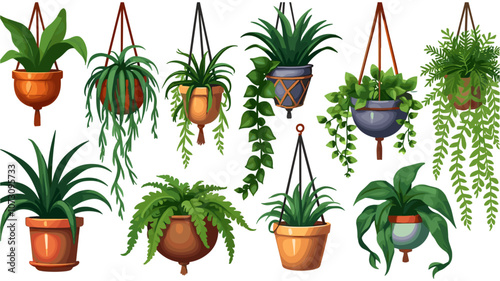 Set of macrame hangers for plants growing in pots. Bundle of hanging planters made of cotton cord, beautiful handmade home decorations isolated on white background. Cartoon flat vector illustration.