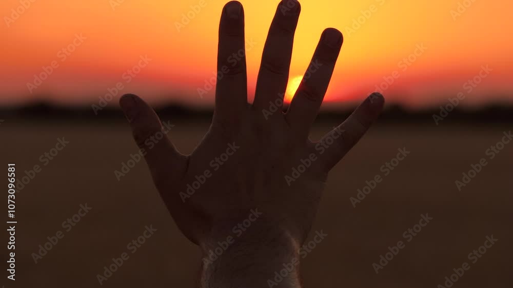 Human hand open palm fingers silhouette at bright sunset sunrise cinematic sun sky dusk field closeup. Arm shadow gesture at picturesque dawn sunlight freedom inspiration nature meadow scenery Human hand open palm fingers silhouette at bright sunset sunrise cinematic sun sky dusk field closeup. Arm shadow gesture at picturesque dawn sunlight freedom inspiration nature meadow scenery