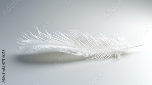 Elegant White Feather on Smooth Background