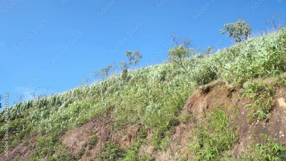 A beautiful landscape of mountains and a bright blue sky A beautiful landscape of mountains and a bright blue sky
