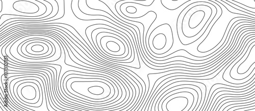 Abstract white wave paper curved reliefs background design. The black on white contours topography stylized relief diagram line wave carve pattern background.