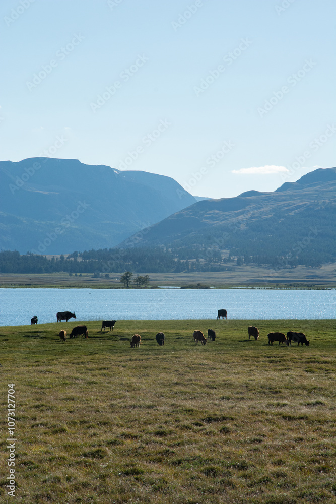 Mongol Altai mountains, beautiful lakes, valleys of Western Mongolia Mongol Altai mountains, beautiful lakes, valleys of Western Mongolia