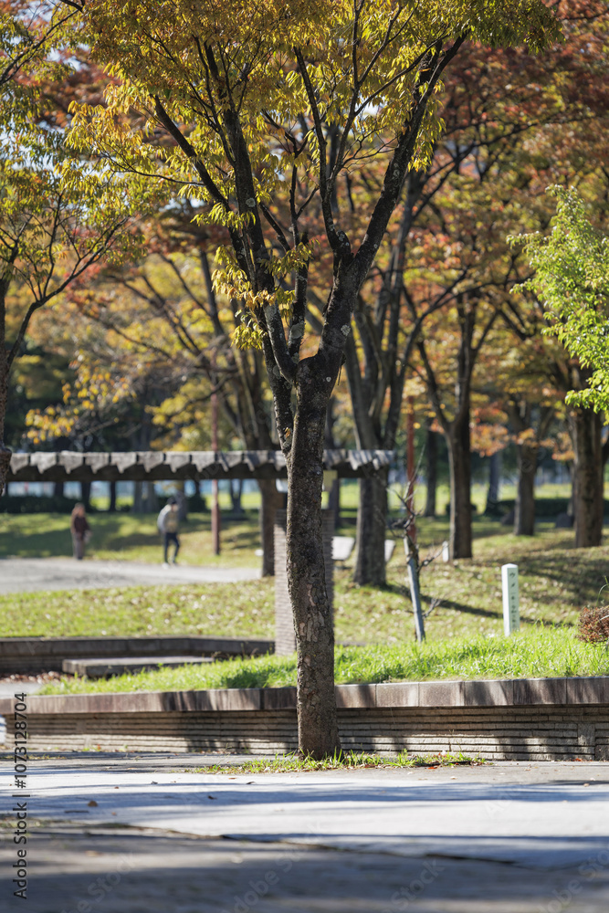 The orange gold and yellow hues of autumn are illuminated in the afternoon sunlight in a peaceful park, where two people can be seen in the bokeh background walking towards park benches. The orange gold and yellow hues of autumn are illuminated in the afternoon sunlight in a peaceful park, where two people can be seen in the bokeh background walking towards park benches.