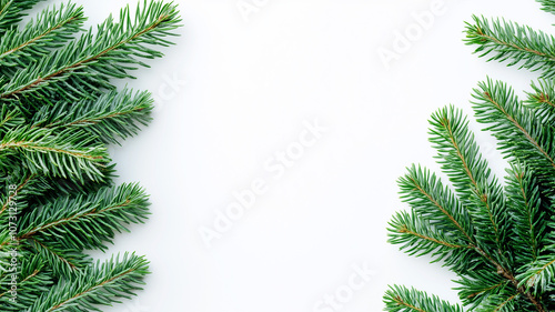 Fir tree branches isolated on a white background, top view. Christmas green pine branches