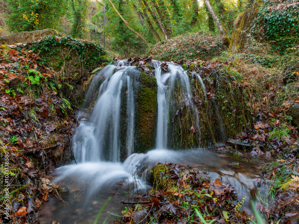 Fototapeta premium waterfall in the forest