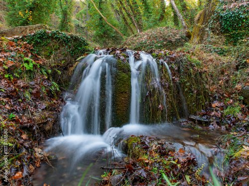 waterfall in the forest